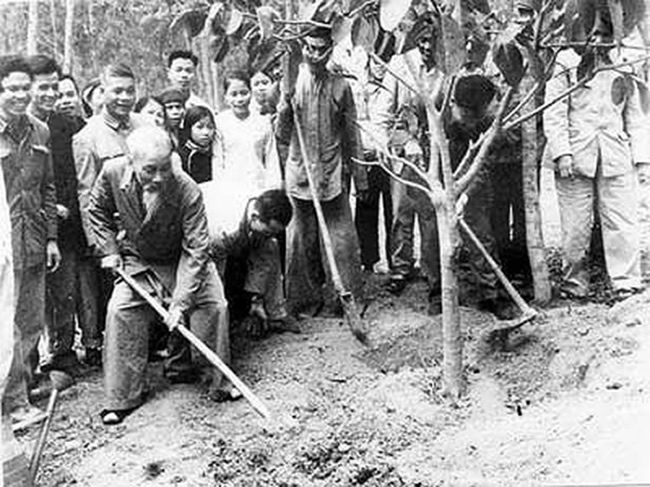 B&aacute;c Hồ trồng c&acirc;y đa tại x&atilde; Vật Lại, Ba V&igrave;, H&agrave; T&acirc;y (nay l&agrave; H&agrave; Nội) ng&agrave;y 16/2/1969